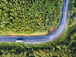 While fao says that forests still cover more than 60 percent of the country, only 11.6 percent. Sustainability And Qshe Kuehne Nagel