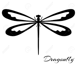 Black And White Dragonfly Silhouette Vector Backgrounds Prints Royalty Free Cliparts Vectors And Stock Illustration Image 61671049 Fly dragonfly butterfly silhouette emerging from chrysalis four stages amazing moment about bugs change insect birth. black and white dragonfly silhouette vector backgrounds prints