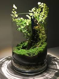Dekoracja W Szkle Aquarium Garden Terrarium Plants Garden Terrarium