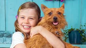 Larry the Wonderpup (2018)