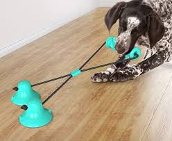 Read on for the 20 best options of 2021! 5 Fun Suction Cup Dog Toys To Keep Canines Busy Great Pet Care