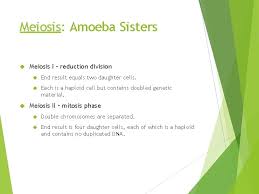 We also love empowering teachers and student. Genetics Beginning Of Life Chromosome Number Organisms Have