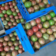 Our team are happy to help. Agro Albania Sh P K Exporter Kucove Albania Libertyprim