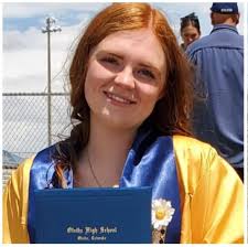 Has anyone seen a suspicious man in an old green/blue Ford Taurus in Delta,  CO?