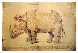 St jerome albrecht durer • 1492. Research Point Renaissance Masters And Animals My Drawing Course
