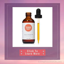 Recipes For Essential Oil Roller Bottles Free Printable Guide In 2020 Essential Oil Roller Bottle Recipes Essential Oil Roller Bottle Essential Oil Roller