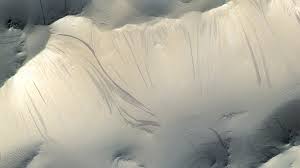 Haleigh cox onlyfans leaked rose gold is an charming mature