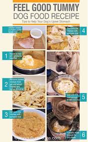 7 Diy Dog Upset Stomach Remedies Ideas Dog Upset Stomach Upset Stomach Stomach Remedies