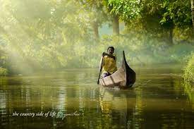 Land Of Tiger Kerala Backwaters Kerala Kerala Tourism
