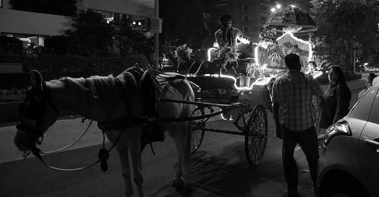 A Look at Mumbai's Iconic Horse Carriage Journey Till its End