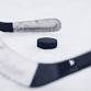 Stick & Puck event in Flint, MI