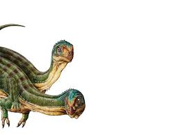 Велоцира́птор — род хищных двуногих динозавров из семейства дромеозаврид, подсемейства велоцирапторин. Meet Chilesaurus A New Raptor Like Dinosaur With A Vegetarian Diet Science Smithsonian Magazine