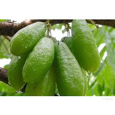 Maybe you would like to learn more about one of these? Mudahnya Sekarang Nak Beli Min Z Sambal Hitam Pahang