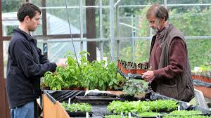 Top garden centres in Norfolk according to Google reviews | Eastern Daily  Press