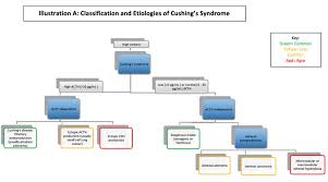 Cushing Syndrome Disease Endocrine Medbullets Step 2 3