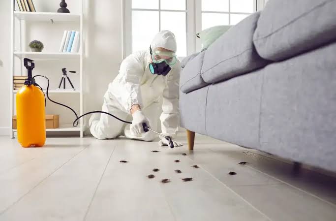 Termite Treatment