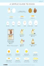 Egg Styles Different Egg Styles Explained