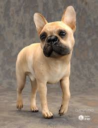 French Bulldog For Daz Dog 8 3dmodel French Bulldog Bulldog Dogs