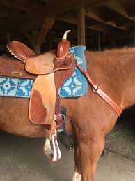 Evaluate up to 3 horses online. Product Review The Total Saddle Fit Shoulder Relief Cinch Horse Nation