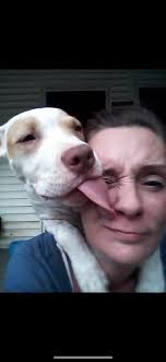 Lost cat named Kisses in Bexar County?