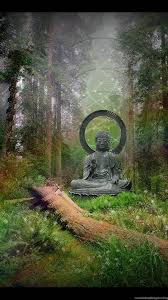If you're in search of the best buddha wallpapers, you've come to the right place. Buddha Wallpapers Hd Desktop Download Iphones Wallpapers Desktop Background