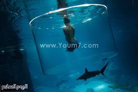 مواجهة الموت صور رائعة لأخطر الرياضات والطقوس الدينية حول العالم fish pet pets fish
