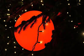 Dass weihnachten 2020 aufgrund der coronakrise anders gefeiert wird als sonst, war schon vor den beschlüssen zu einem harten lockdown vom sonntag klar. Corona In Ludwigshafen Aktueller Stand Und Ausgangssperre Ludwigshafen