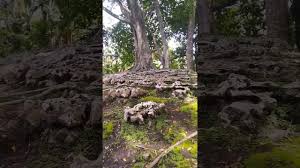 Bahan bahan, pasir laut, batu karang dan tanaman di sekitar kita. Sangat Jauh Dari Laut Batu Karang Ada Didaratan Lokasi Cisarua Natar Lampung Selatan Youtube