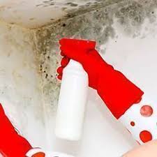Come Eliminare L Umidita In Modo Naturale Detersivo Fatto In Casa Consigli Per La Pulizia Programmi Di Pulizia