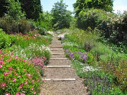 Pin By Debbie Goveia On Garden Ideas Garden Ideas South Africa Potted Plants Outdoor African Plants