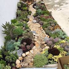 Have a look at the best outdoor succulents that are sure to improve your garden's scenery and will most likely make your neighbor jealous! Pin By Margit Ewen On Meu Jardim Succulent Landscape Design Succulent Garden Landscape Succulent Garden Outdoor