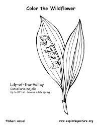 Well, here is something creative, fun, and educational all wrapped into one. Lily Of The Valley Coloring Page