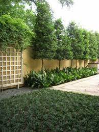 10 Ways On How To Improve Your Backyard Privacy Simphome In 2021 Privacy Landscaping Backyard Privacy Fence Landscaping Backyard Fences