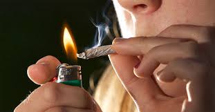 Resultado de imagen de marihuana