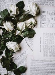 Photography Tumblr Wallpaper Flower 32 Ideas Iphone Background Images Tumblr Wallpaper Drawing Wallpaper