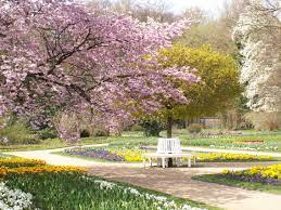 51 in gütersloh, ☎ telefon 05241 12113 mit ⌚ öffnungszeiten und anfahrtsplan. Bluhender Kirschbaum Im Botanischen Garten Gutersloh Botanischer Garten Bluhender Kirschbaum Garten