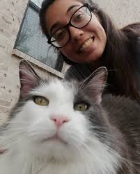 Casita del Gato Bandito (@casita_del_gato_bandito) • Instagram photos and  videos