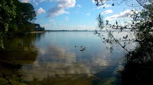 Donnez votre avis sur lac de cazaux. Le Lac De Cazaux Youtube