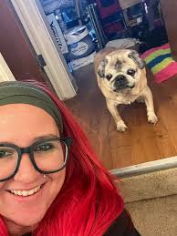 Affordable vet recommendations in Lakewood, Colorado