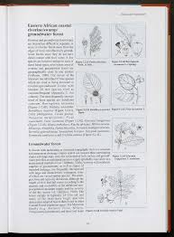 Image result for Burttdavya