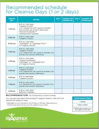 Easy Homemade Detox Tea Isagenix Cleanse Isagenix Diet Isagenix 30 Day Cleanse