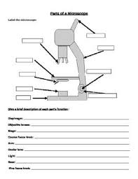 Microscope Labeling And Magnification Worksheet Magnification Interactive Science Notebook Microscopic