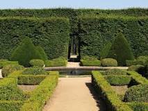 Image result