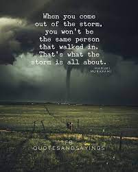 When You Come Out Of The Storm You Won T Be The Same Person That Walked In That S What The Storm Is All About Ha Murakami Quotes Storm Quotes Walking Quotes
