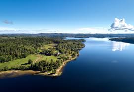Free for commercial use no attribution required high quality images. Creed I Saerdeleshed Th Sweden Nature Ampere Plakater Og