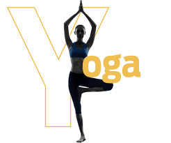 Yoga inzivaları ege'de yer alan çam ormanının hemen altında zeytin, nar, badem, menengiç gibi bir çok şifa yüklü ağacın ve bitkinin arasında konumlu arıkuşu retreat'de gerçekleşecektir. Yoga Yoga Hareketleri Yoga Nedir Vamos