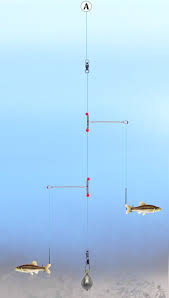 Attach your drop shot hook to your main line via a palomar knot. Dropper Rigs Fishing Outposts
