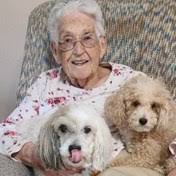 Search for Obituaries