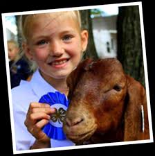 Grand Traverse County