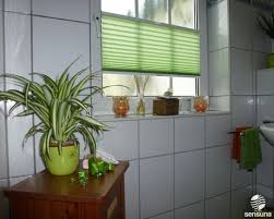 Lichtdurchlassige Plissees Als Sichtschutz Am Badezimmer Fenster Mit Bildern Badezimmer Ohne Fenster Badezimmer